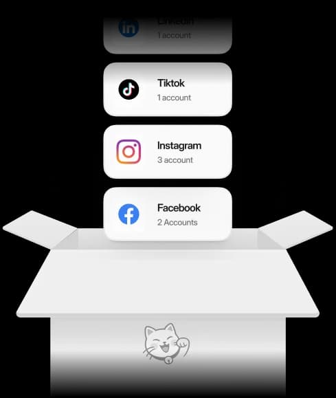 Social accounts dropping into a Bento box as the brand connects